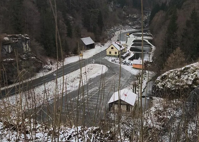 Apartament Faust